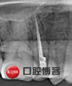韩彩红.jpg