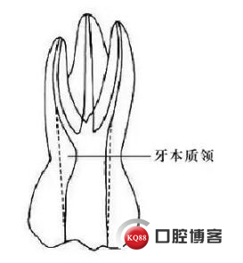 1.webp.jpg