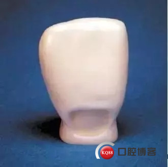 640.webp (1)_副本.jpg