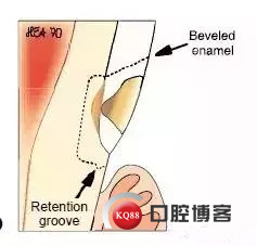 640.webp (3)_副本.jpg