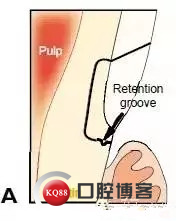 640.webp (4)_副本.jpg