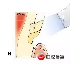 640.webp (8)_副本.jpg