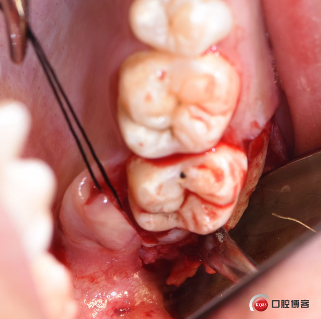 DSC_1941_副本.jpg