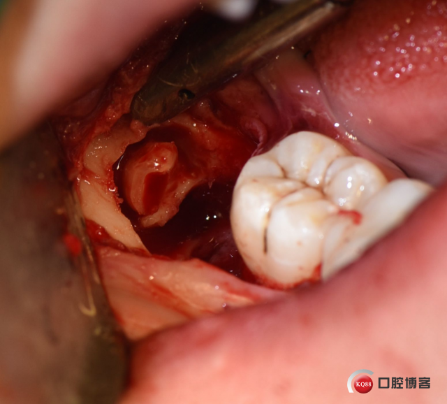 DSC_1976_副本.jpg