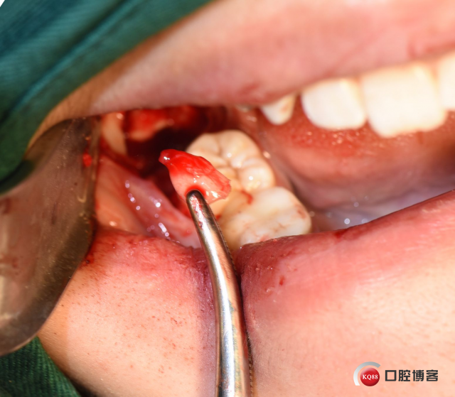 DSC_1977_副本.jpg
