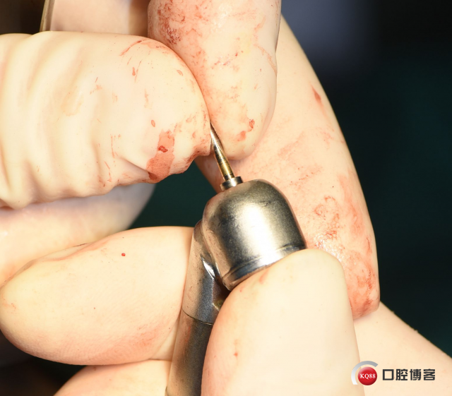 DSC_1993_副本.jpg