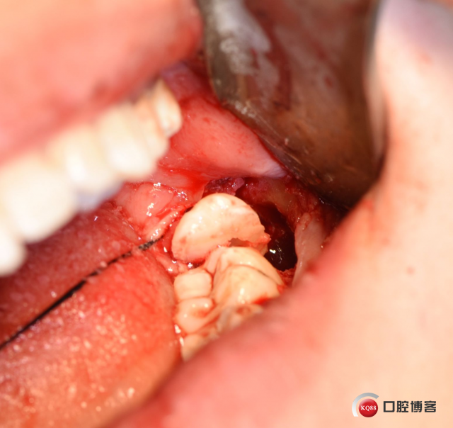 DSC_1997_副本.jpg