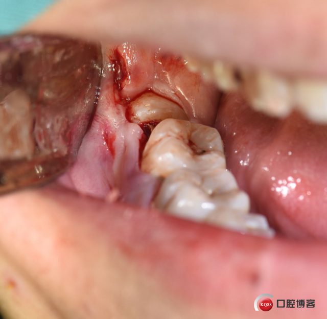 DSC_1739_副本.jpg