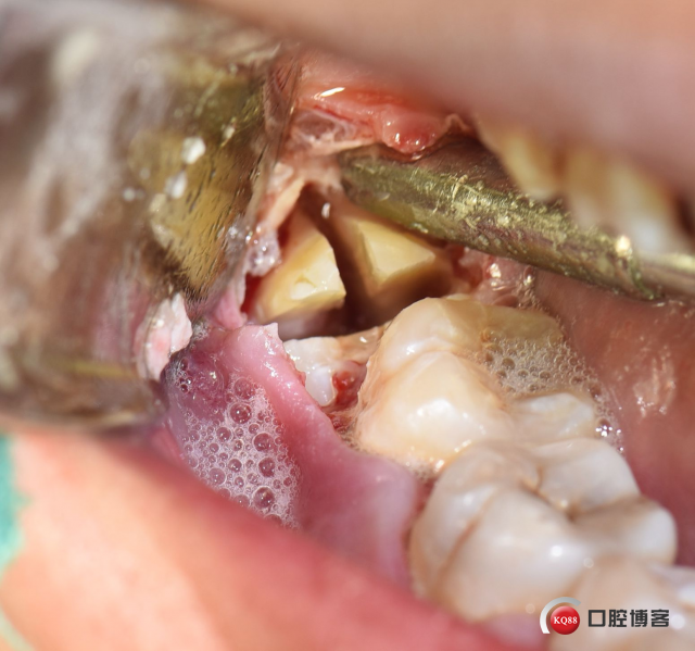 DSC_1754_副本.jpg