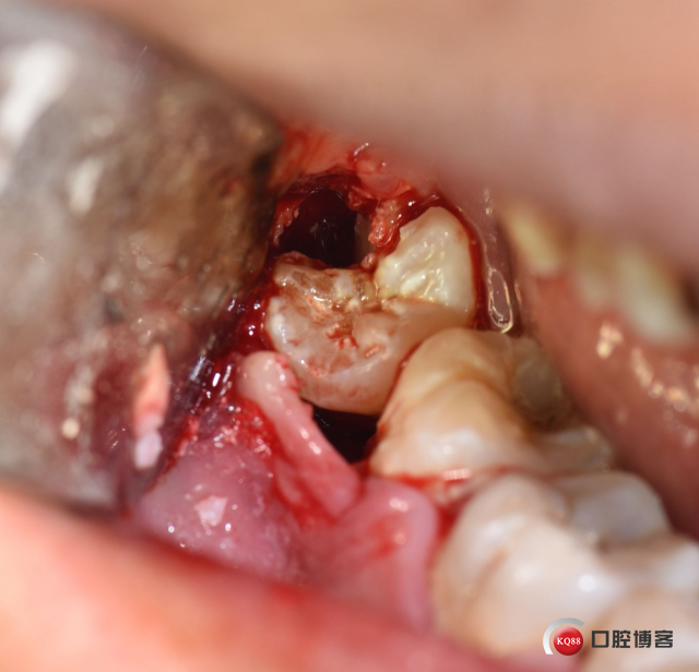 DSC_1757_副本.jpg