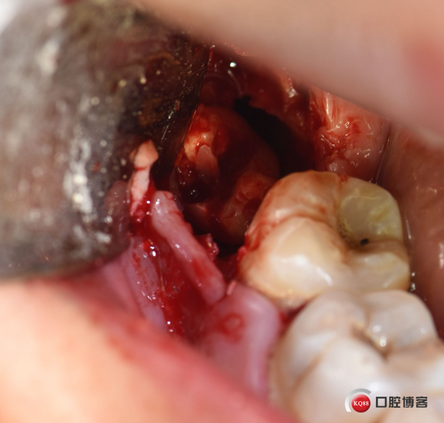 DSC_1761_副本.jpg