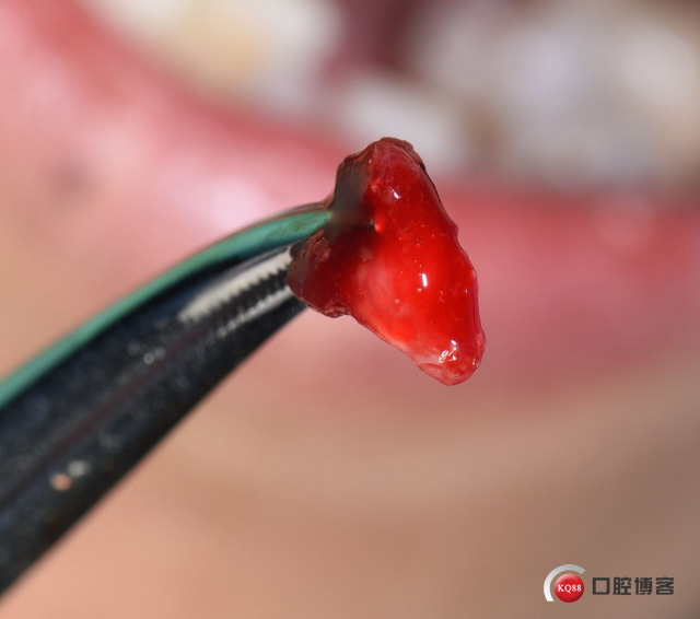 DSC_1765_副本.jpg