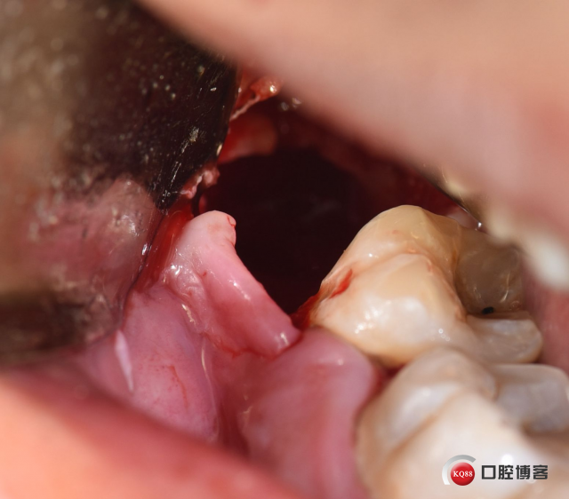 DSC_1766_副本.jpg