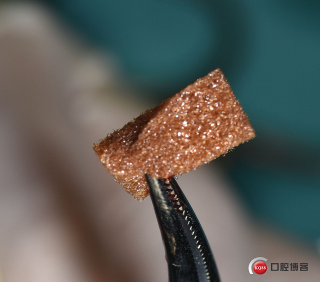 DSC_1768_副本.jpg