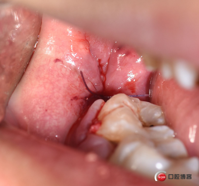 DSC_1769_副本.jpg