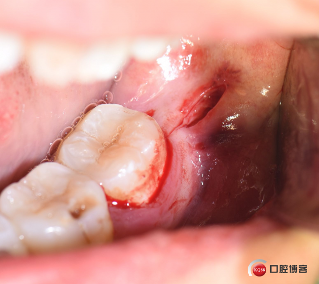 DSC_1773_副本.jpg