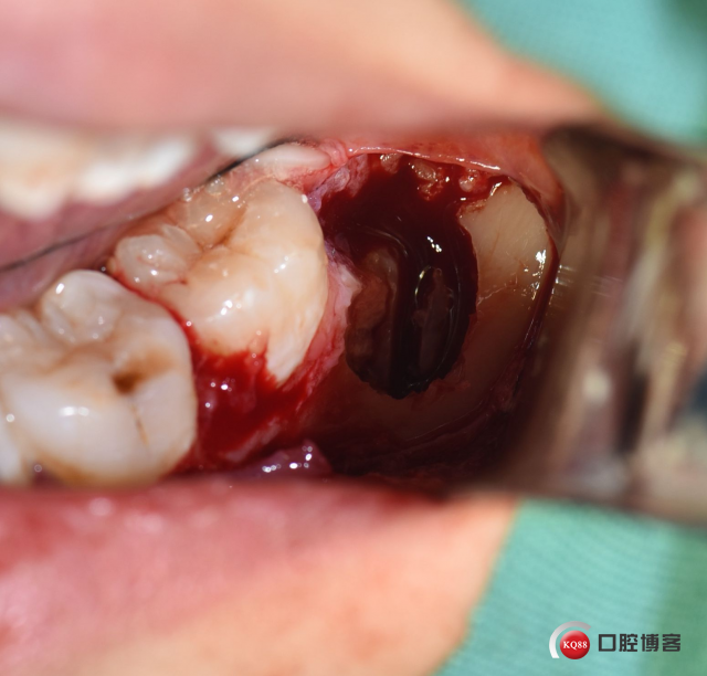 DSC_1780_副本.jpg