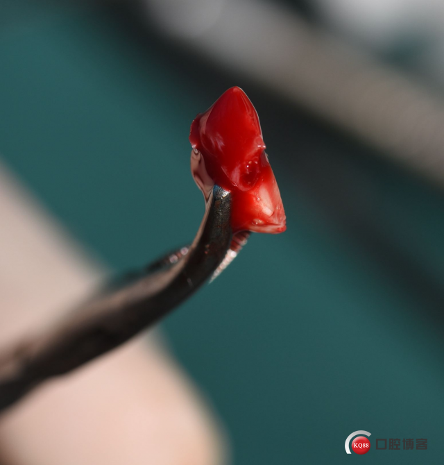 DSC_1786_副本.jpg