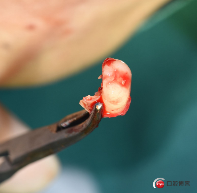 DSC_1795_副本.jpg