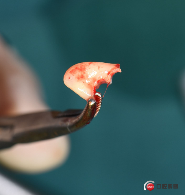 DSC_1797_副本.jpg