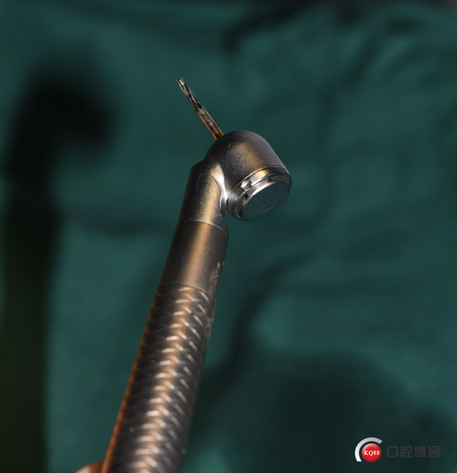 DSC_2066_副本.jpg