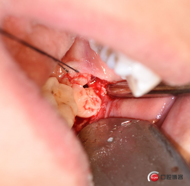 DSC_2079_副本.jpg