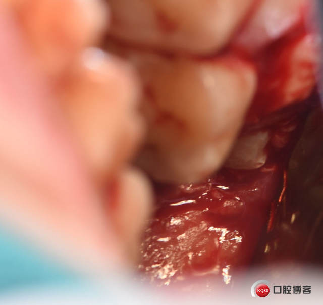 DSC_2104_副本_看图王.jpg