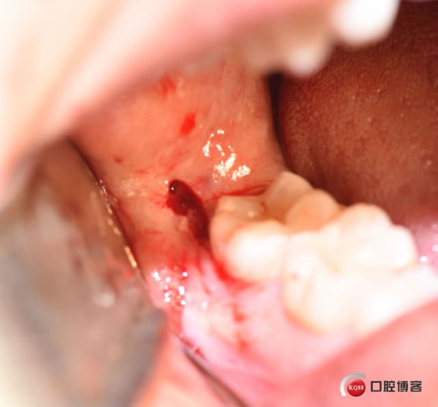 DSC_2127_副本.jpg