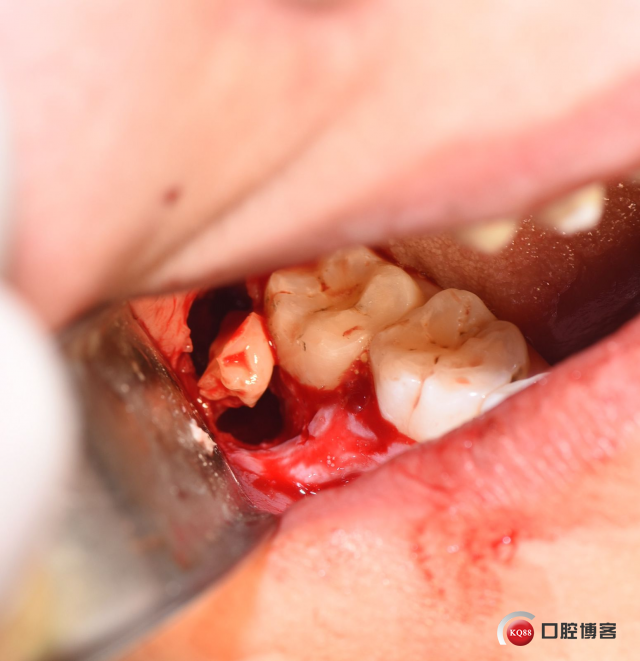 DSC_2137_副本.jpg