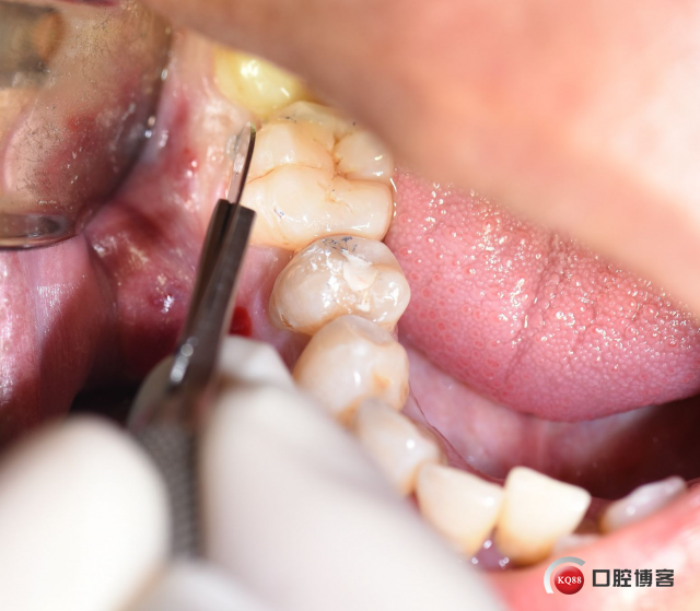DSC_1841_副本.jpg