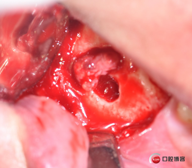 DSC_1869_副本.jpg