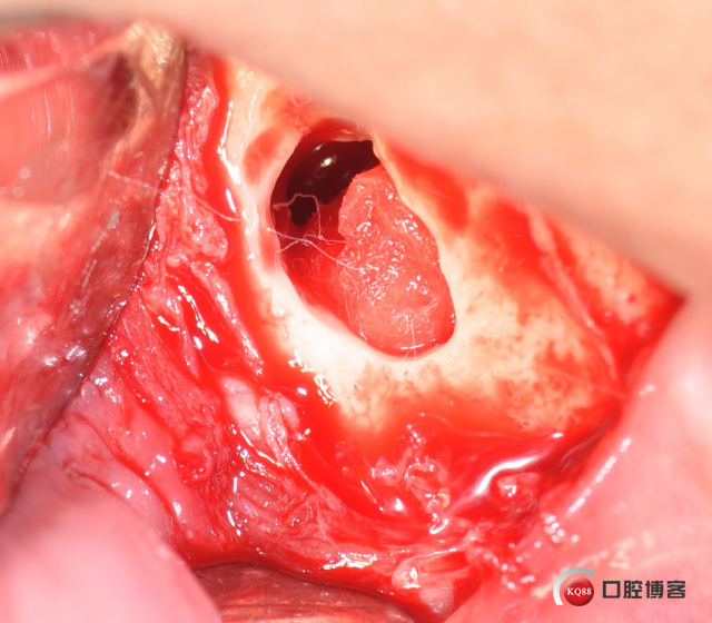 DSC_1873_副本.jpg