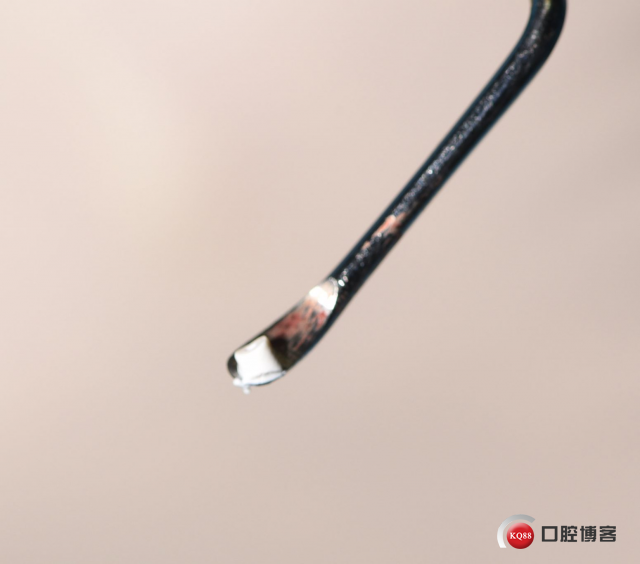 DSC_1885_副本.jpg