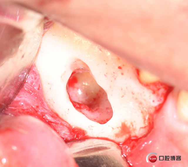 DSC_1891_副本.jpg