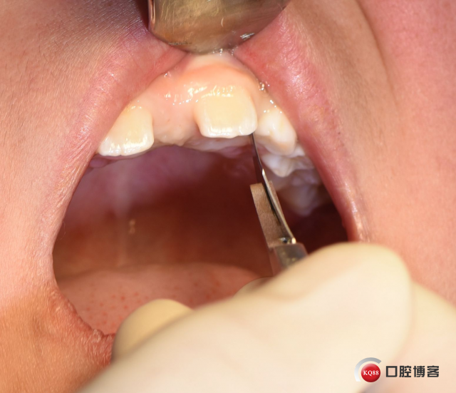 DSC_2676_副本.jpg