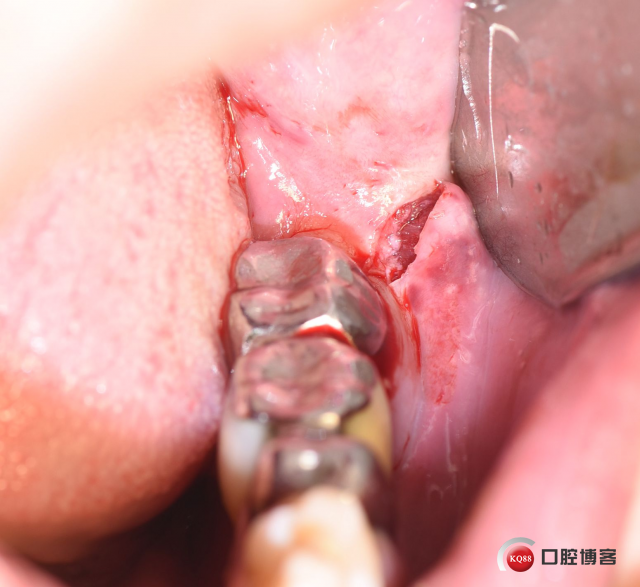 DSC_2722_副本.jpg