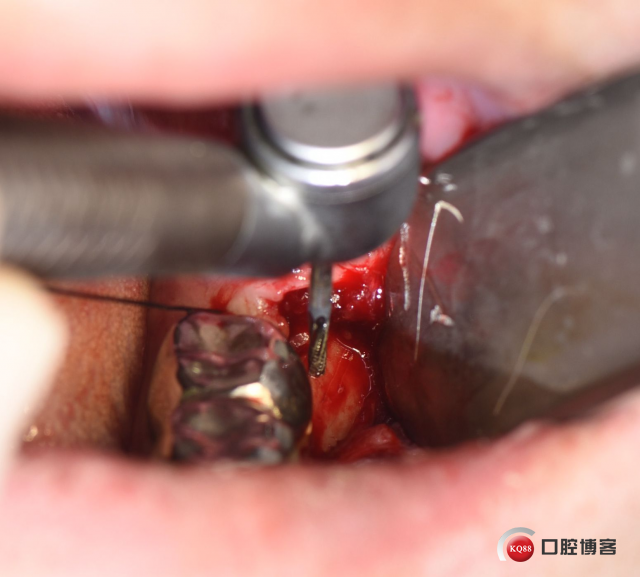 DSC_2731_副本.jpg