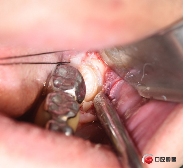 DSC_2737_副本.jpg