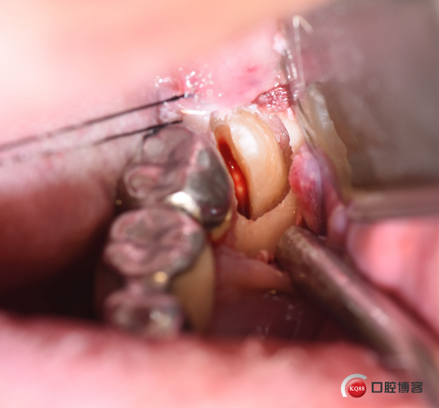 DSC_2740_副本.jpg