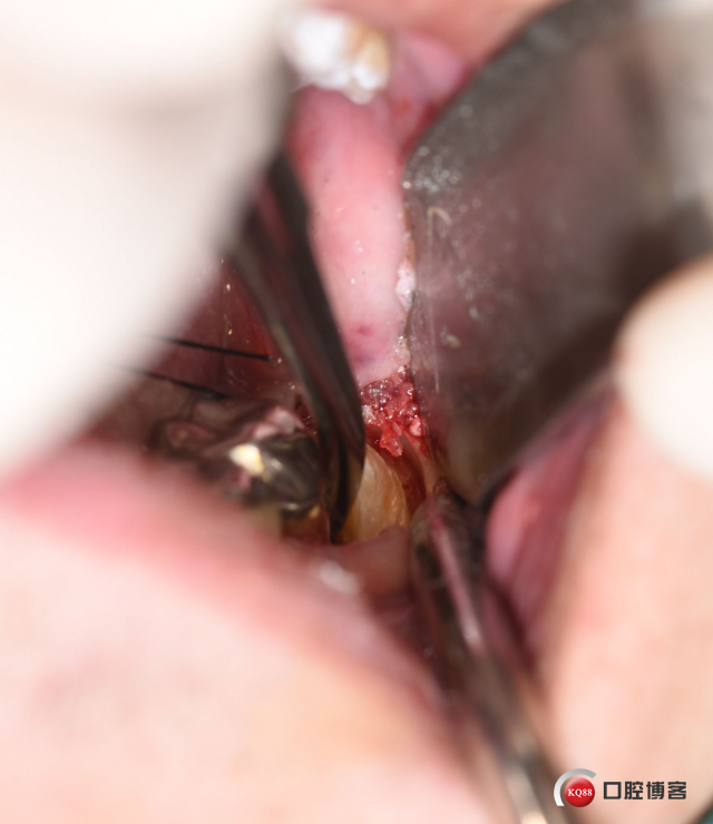 DSC_2742_副本.jpg