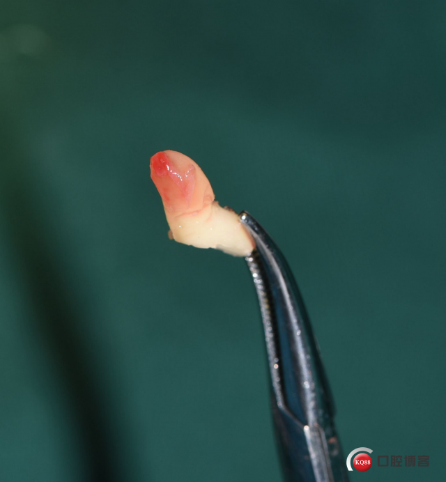 DSC_2751_副本.jpg