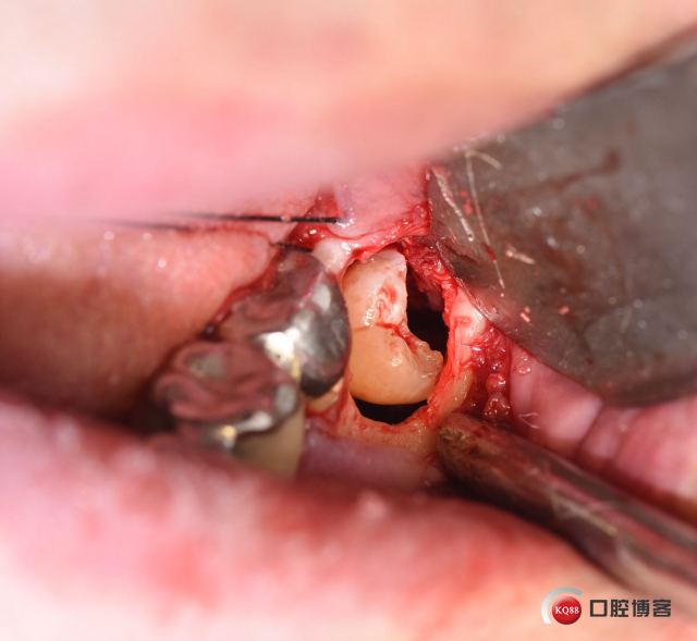 DSC_2760_副本.jpg