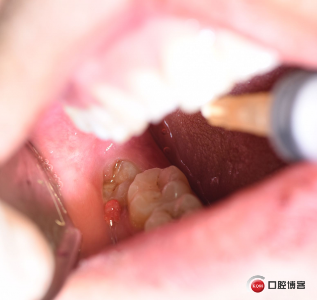 DSC_2772_副本.jpg