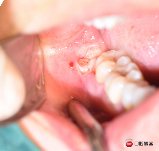 DSC_2773_副本.jpg