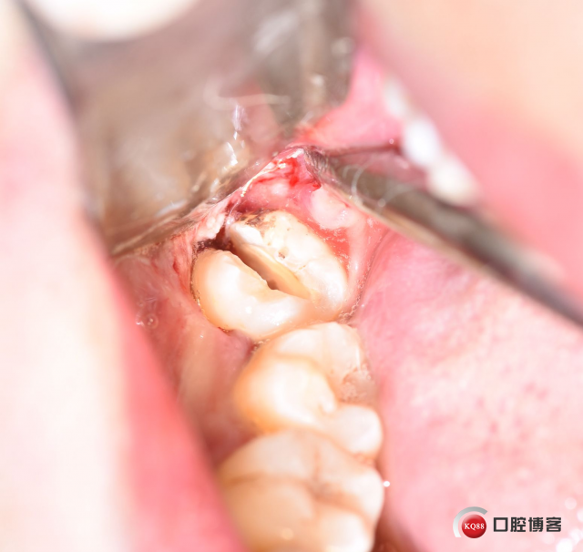 DSC_2780_副本.jpg