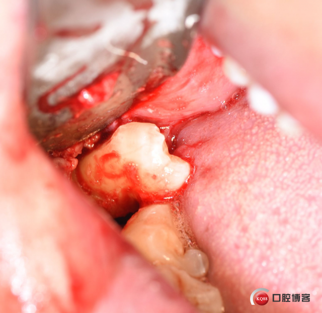 DSC_2788_副本.jpg