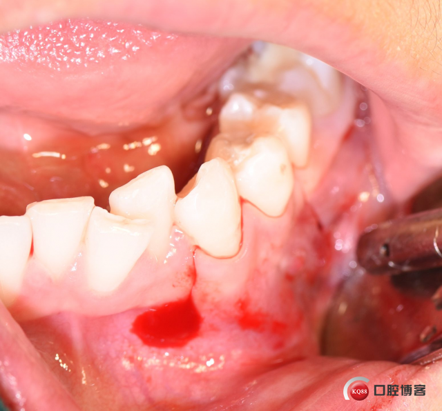 DSC_2498_副本.jpg