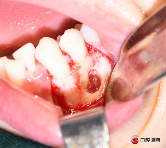 DSC_2511_副本.jpg
