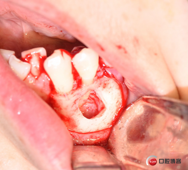 DSC_2539_副本.jpg