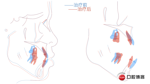 沈智晨.003.jpeg
